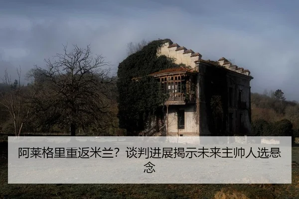 a-lai-ge-li-chong-fan-mi-lan-tan-pan-jin-zhan-jie-shi-wei-lai-zhu-shuai-ren-xuan-xuan-nian-2-704.jpg