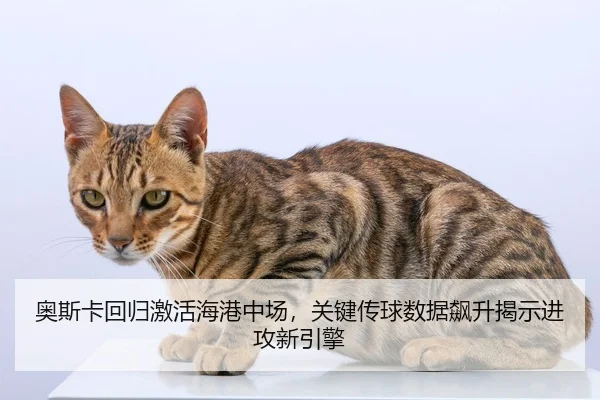ao-si-ka-hui-gui-ji-huo-hai-gang-zhong-chang-guan-jian-chuan-qiu-shu-ju-biao-sheng-jie-shi-jin-gong-xin-yin-qing-2-485.jpg