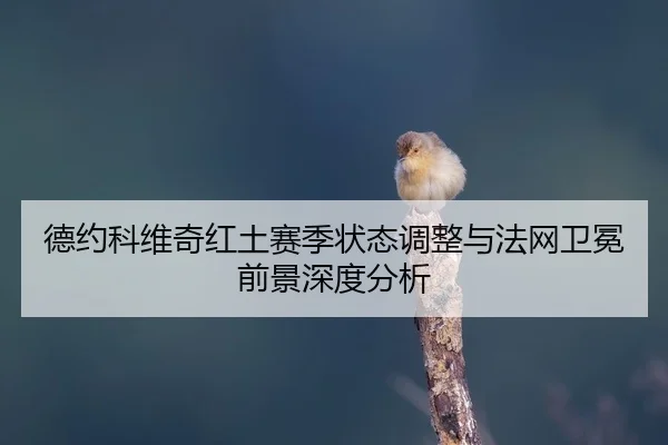 de-yue-ke-wei-qi-hong-tu-sai-ji-zhuang-tai-tiao-zheng-yu-fa-wang-wei-mian-qian-jing-shen-du-fen-xi-2-625.jpg